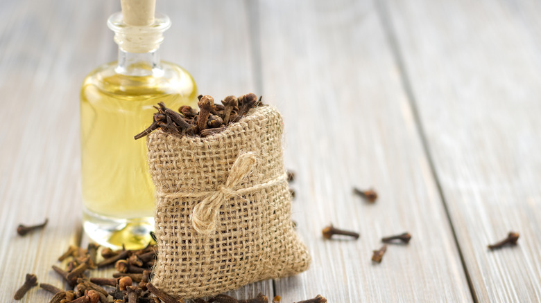 A sachet of dried cloves with several sprinkled around with a clear bottle of oil behind on a wooden table