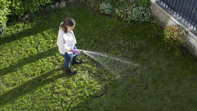 lady spraying her yard