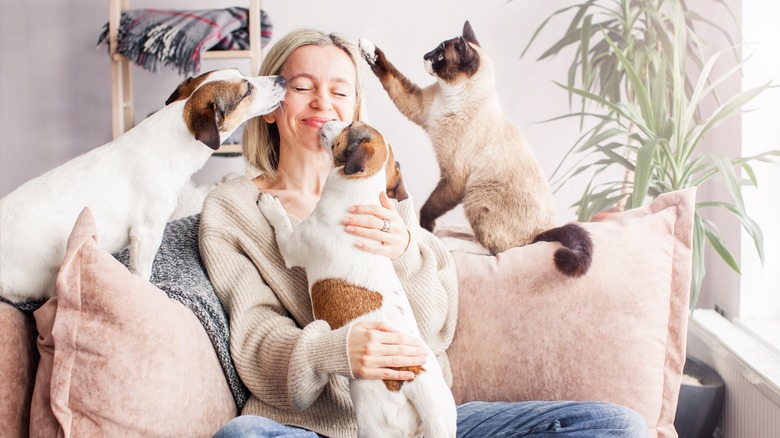 Woman playing with dogs and cat