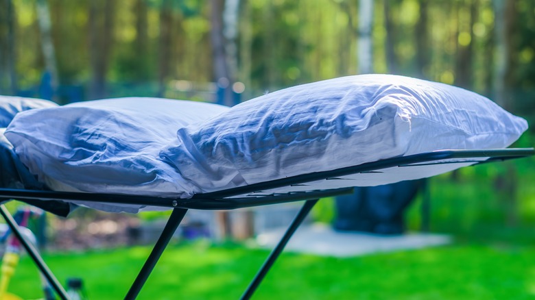 pillow air drying in garden
