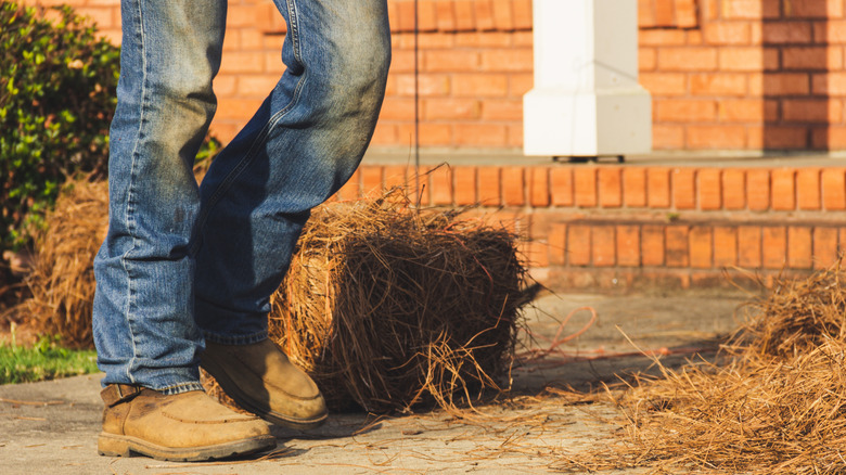 A person stands next to bales of pine straw