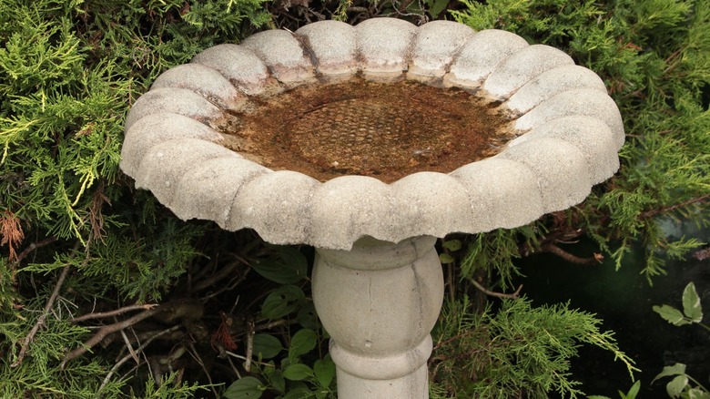 dirty cement birdbath