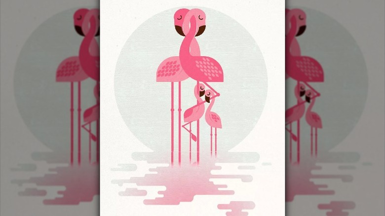 a family of flamingos