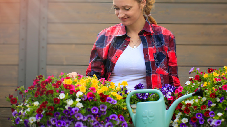 person attending to million bells flowers