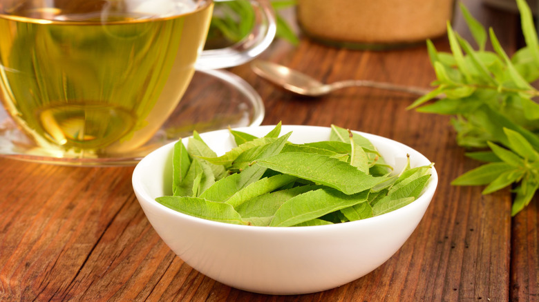 lemon verbena leaves in bowl