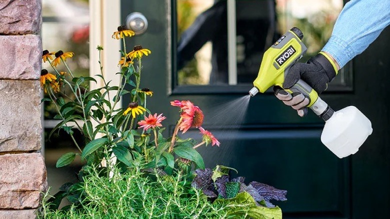 Person using Ryobi compact sprayer to apply liquid to outdoor plants