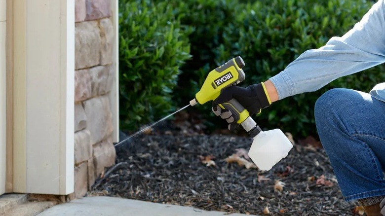 Person using Ryobi compact sprayer to spray weeds near a driveway
