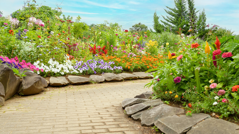 older woman planting in garden