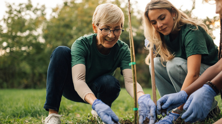 Two women work together to plant a tree