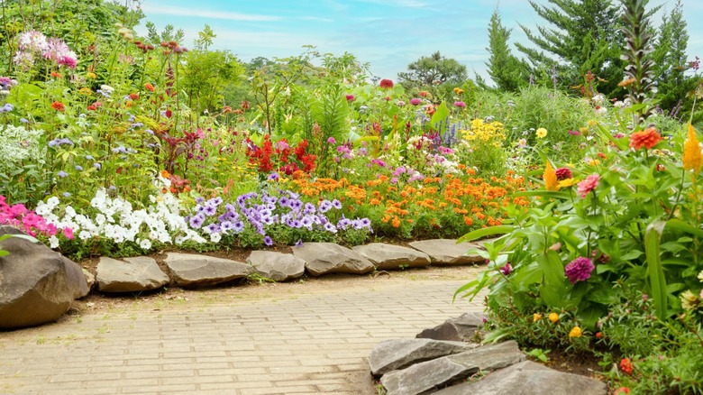 Flower garden with vibrant colorful blooms and stone pathway.