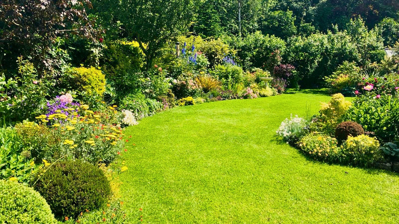 A curved lawn surrounded by a sunny summer garden in full bloom.