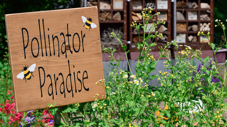 sign in garden saying "Pollinator Paradise"