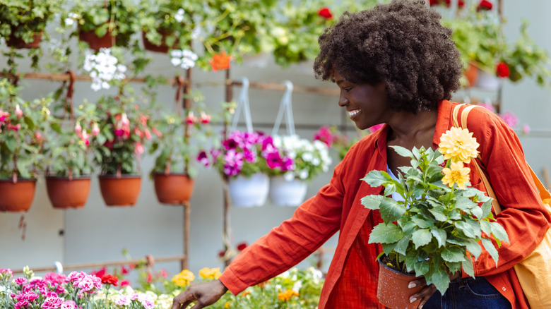 Woman shopping for flowers in a nursery