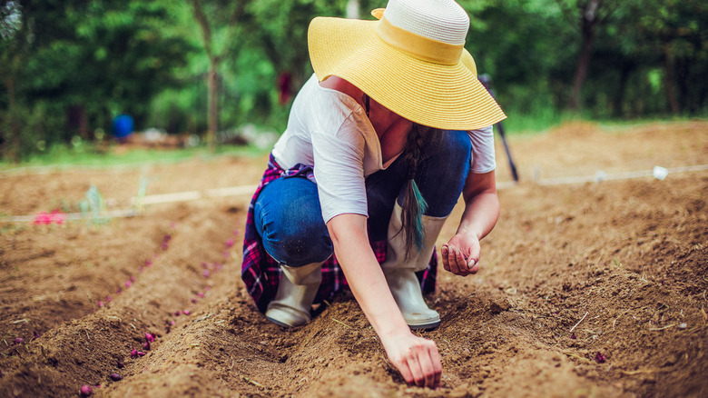 Person crouching down, planting seeds in garden