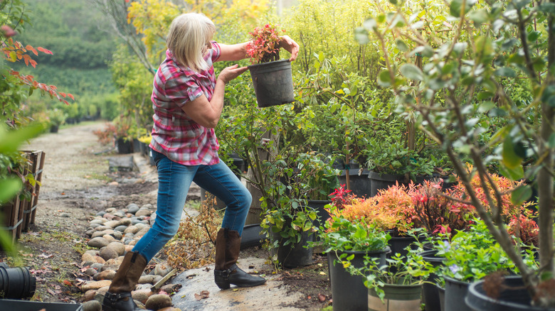 Woman choosing shrubs at a garden center