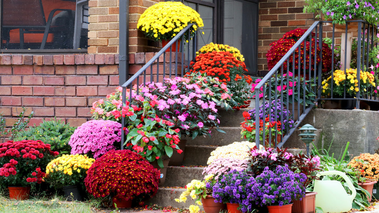 Home's porch and entrance steps filled with colorful, potted flowers.