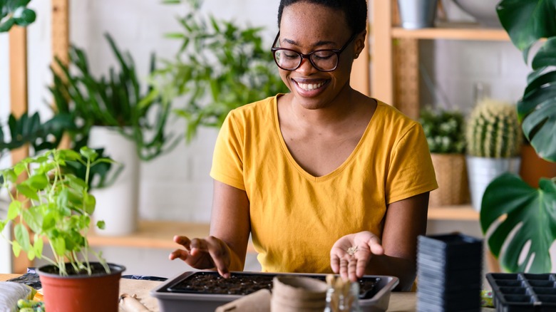 An African American woman plants seeds in a tray indoors.