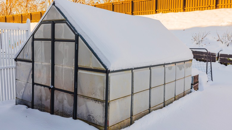 A greenhouse and garden covered in snow