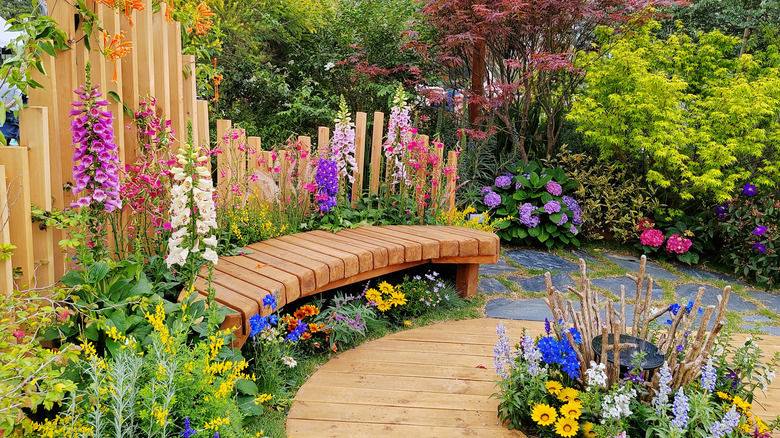 garden filled with various colorful flowers