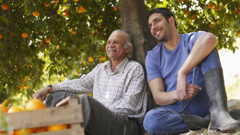 Men sitting under orange tree