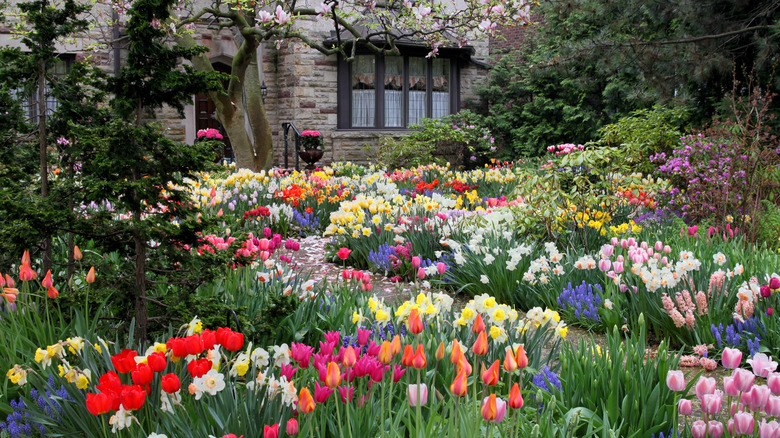 Large flower garden