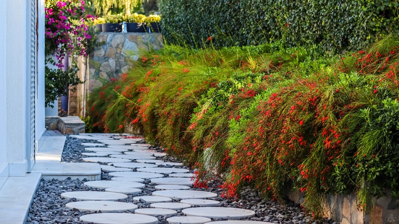 Landscaping sidewalk