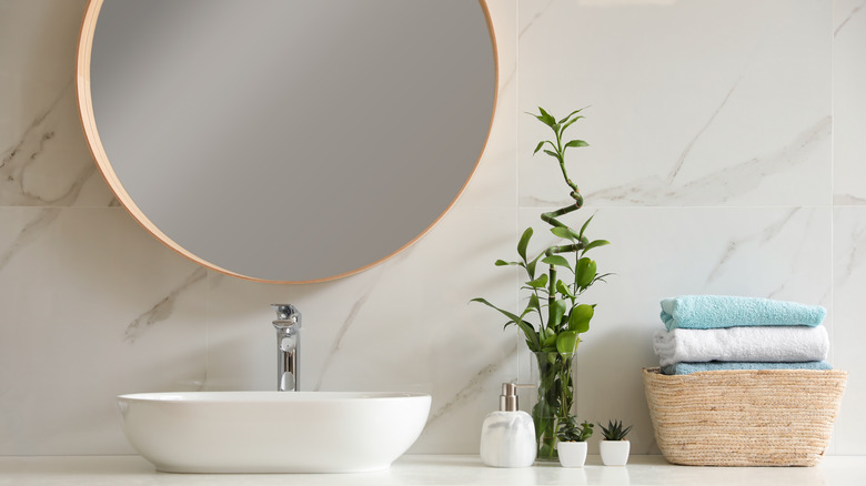 Bamboo plant on bathroom sink