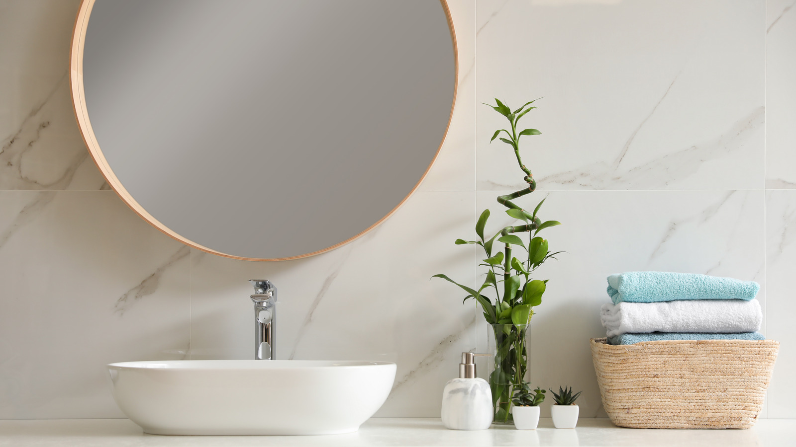 Plants That Grow And Thrive In A Windowless Bathroom