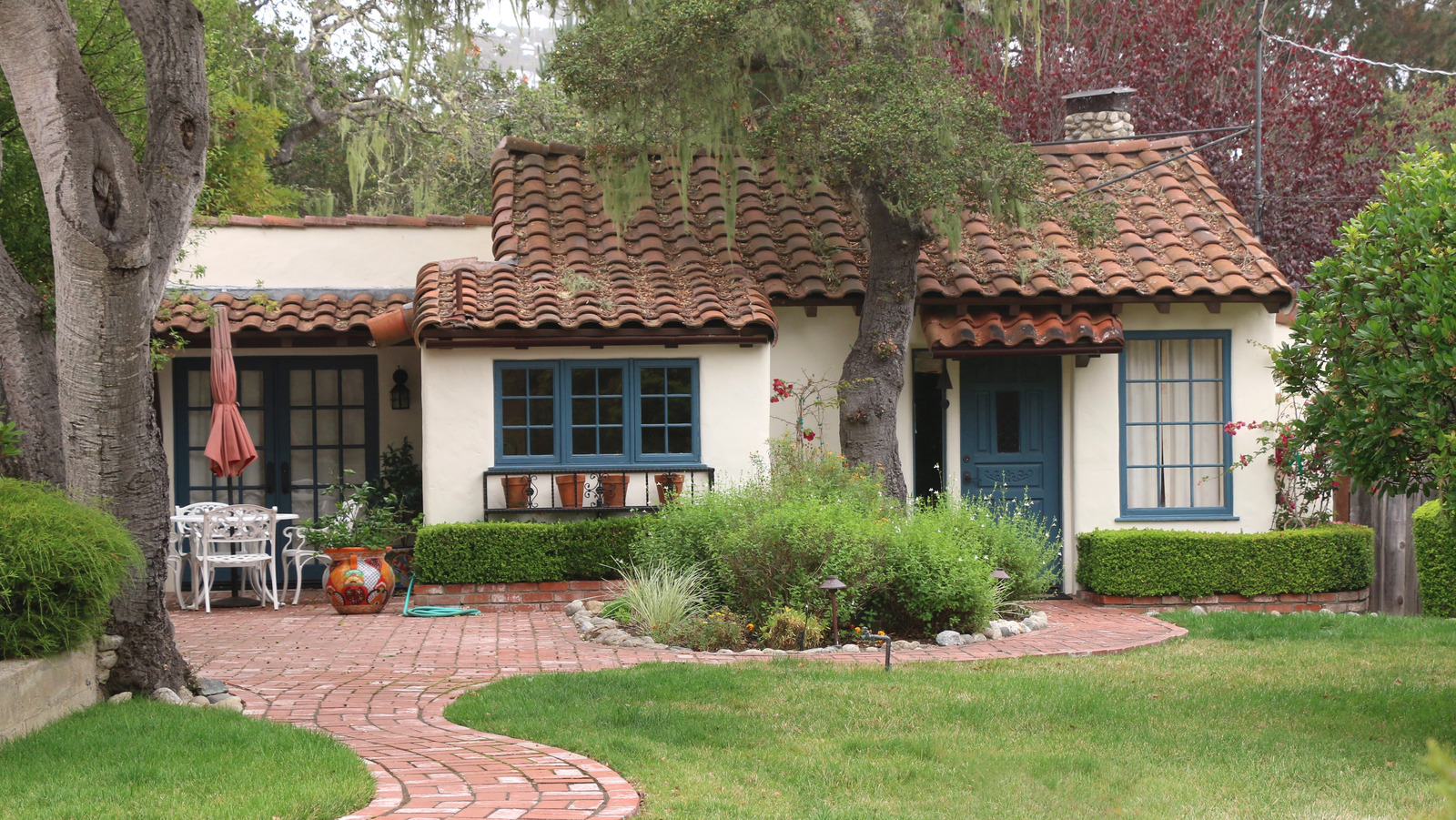 Plants To Add To Your Garden If You Want It To Transport You To Spain - Vimarsana News