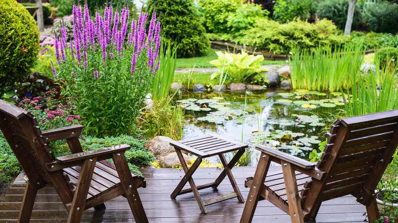 Deck chairs with backyard pond