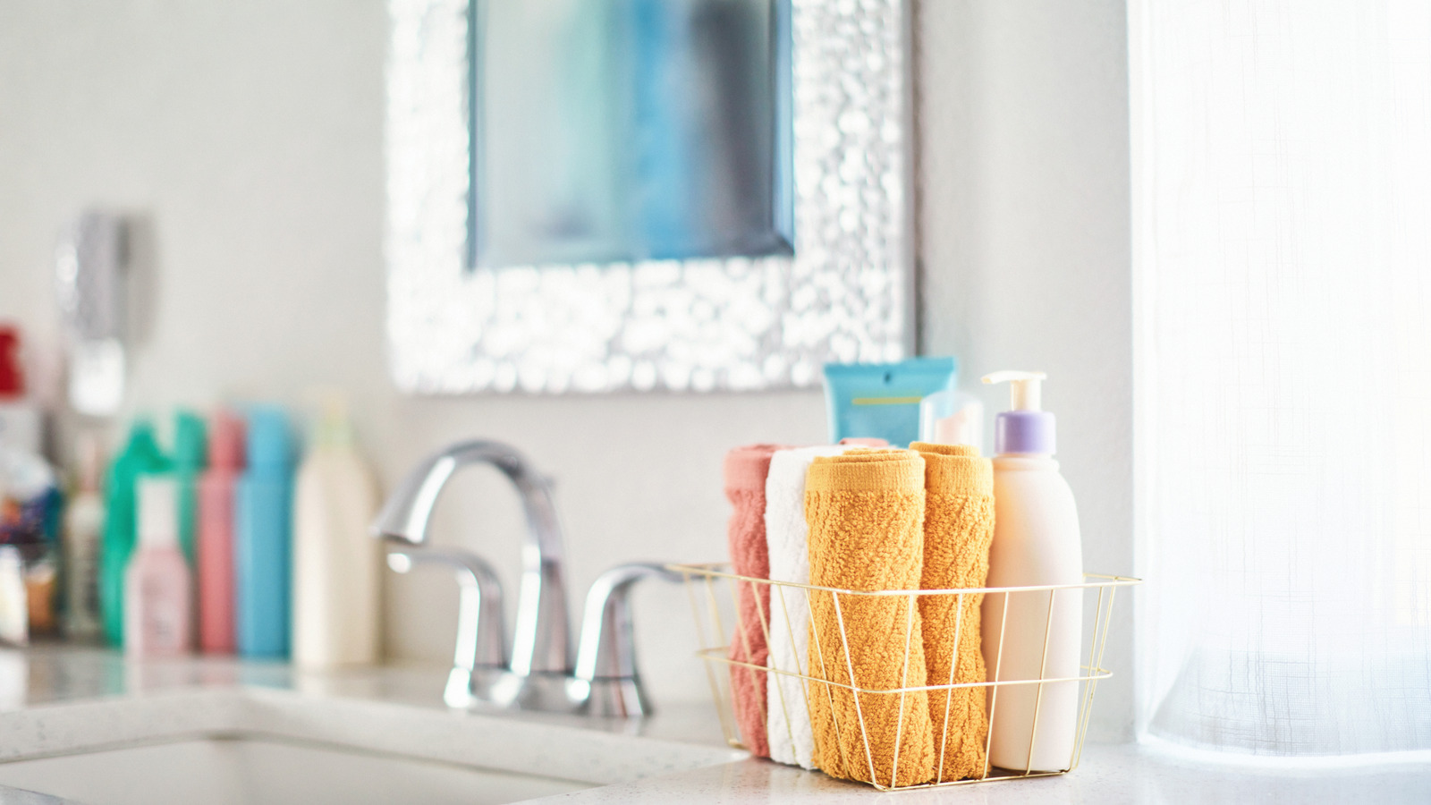 Plastic Vs. Mesh Shower Caddy: Which One Is Better To Use?