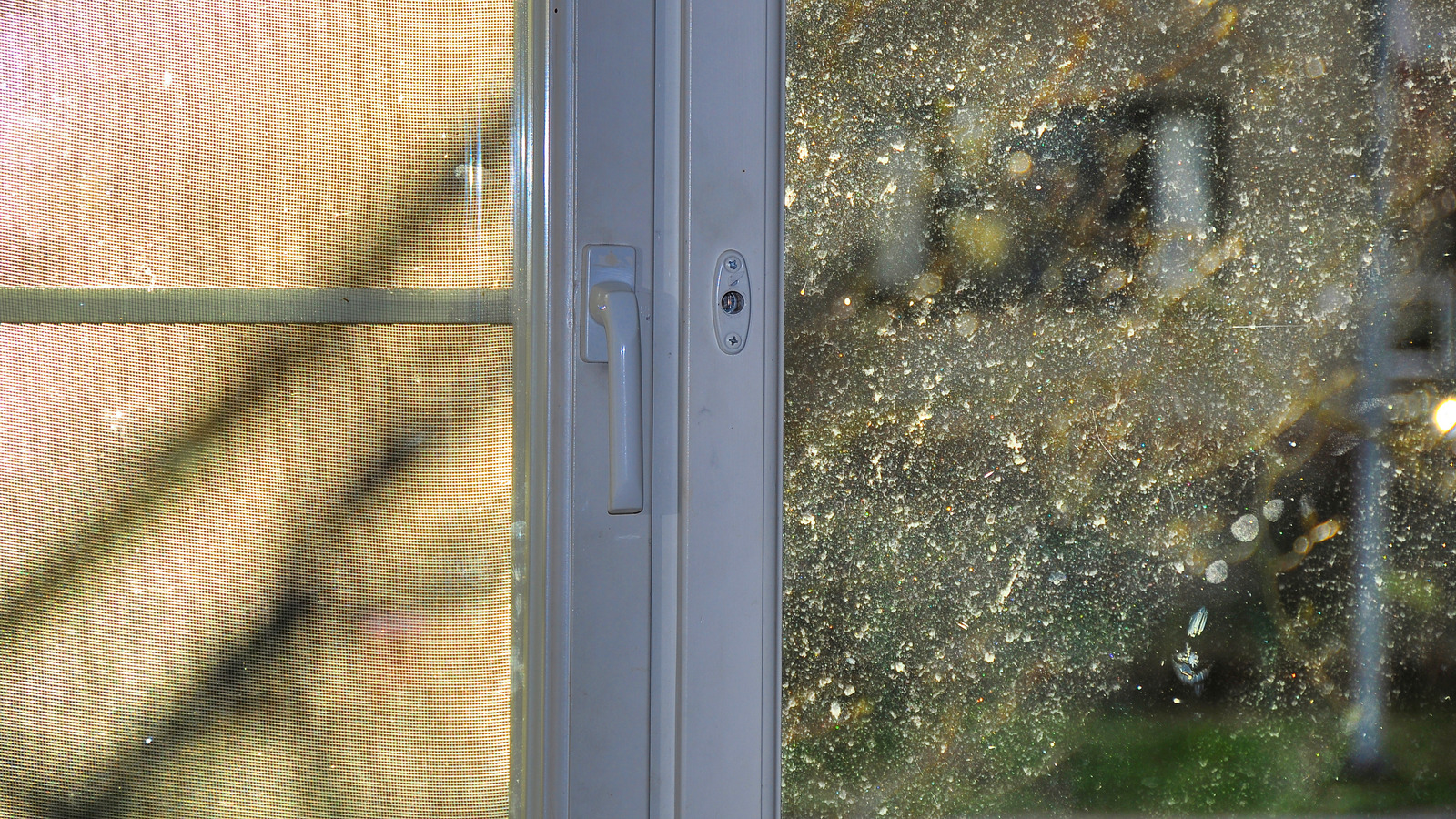 Pollen On Your Windows Is Frustratingly Unavoidable Here Are 5