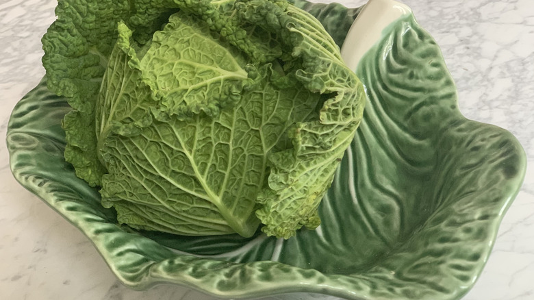 Cabbage in a cabbage-shaped bowl
