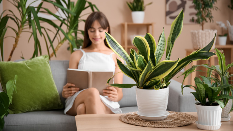 Woman relaxing surrounded by houseplants