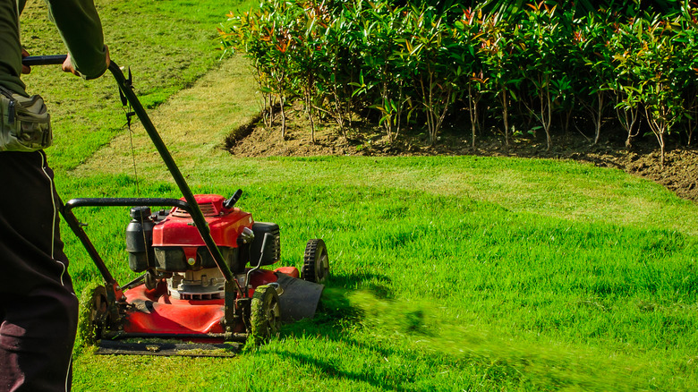 man mowing lawn