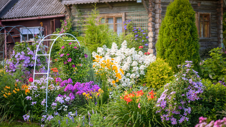 10 Popular Plants That Will Thrive In Your West-Facing Garden