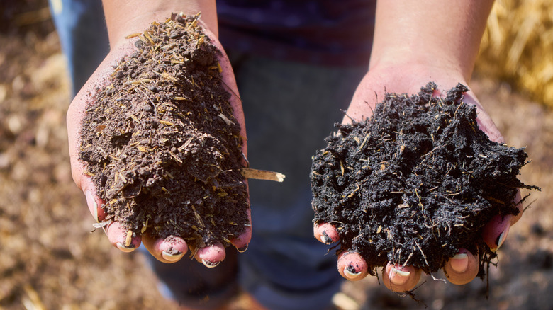 Handfuls of two soils