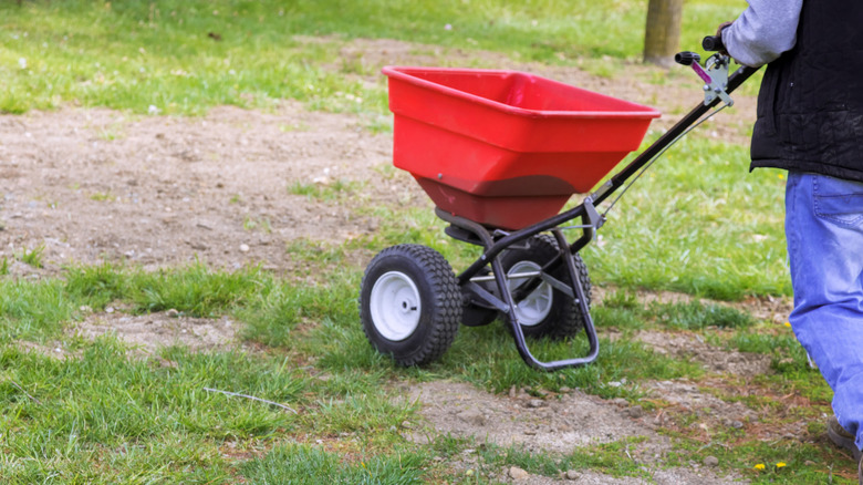 a man pushes a grass seeder to spread seeds over a lawn