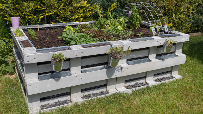 garden bed made with pallets