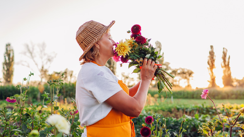 Press Flowers Into Clay To DIY Garden-Inspired Custom Plates That Look Valuable