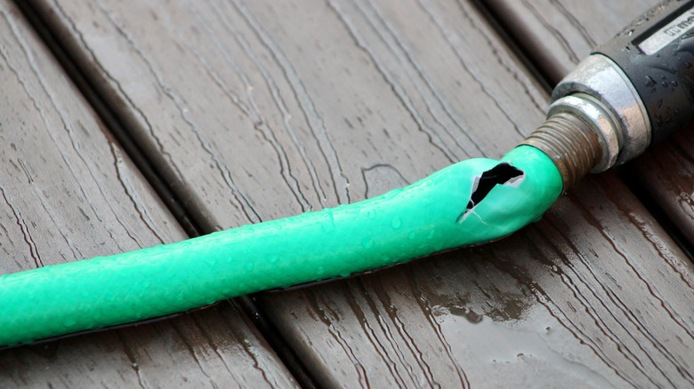 Close-up of a garden hose with a visible crack