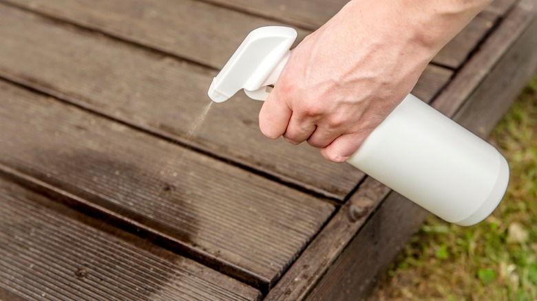 Usando la bottiglia spray sul legno
