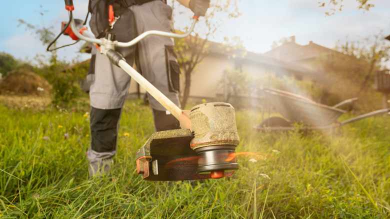 A person using a weed whacker