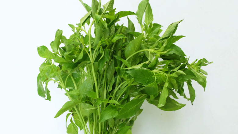 A bunch of fresh basil