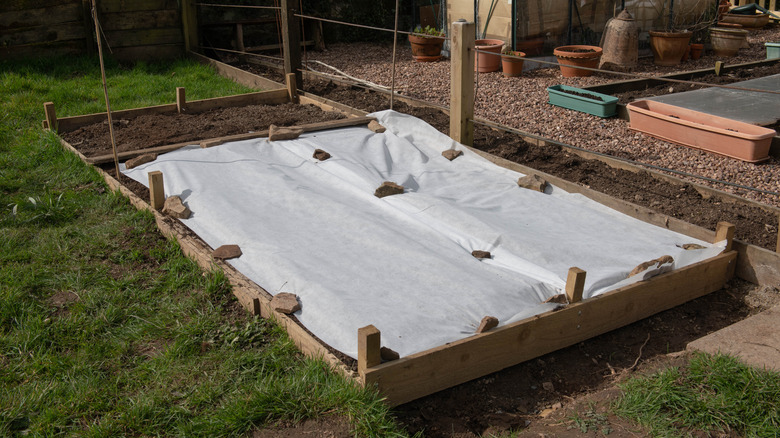 Garden fleece protecting seeds
