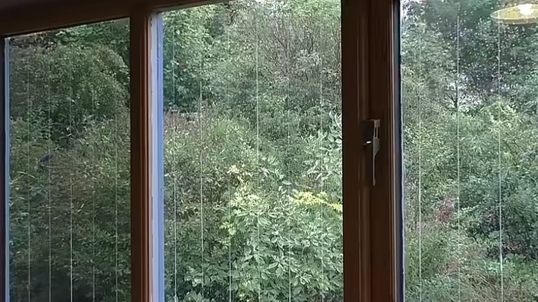 A set of windows with vertical white marker lines