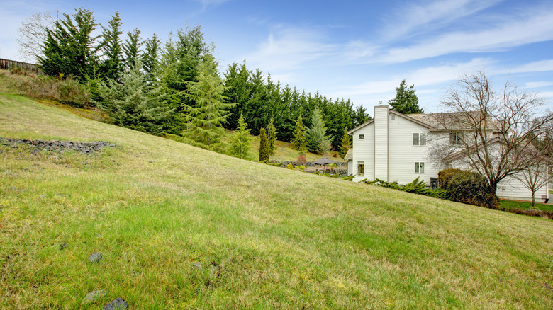 land slopes next to a home where side oats grama and other plants can help control erosion