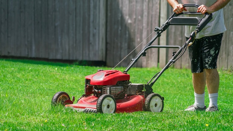 Someone mowing their lawn with a gas-powered mower.