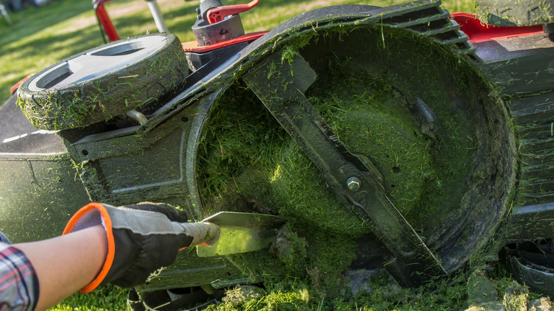 Someone scraping out glass clippings from the deck of their lawn mower.