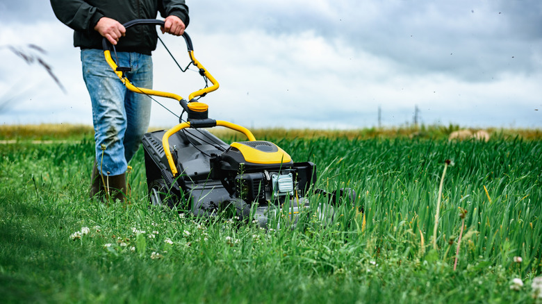 Person mowing grass with yellow and black lawn mower